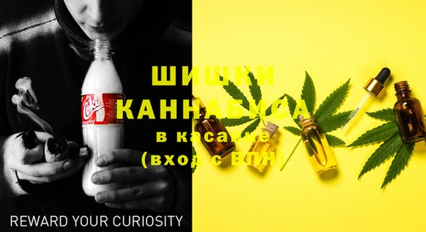 спайс Магас