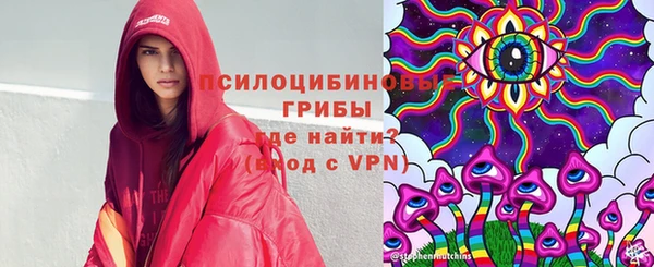 спайс Магас