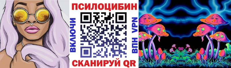 Псилоцибиновые грибы Psilocybe  Купить закладки  Анива 